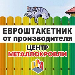 Металлический штакетник | Псков, Индустриальная ул., 9/1, Псков